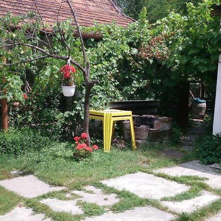 Apartament Boris Apartman Gyula Zewnętrze zdjęcie