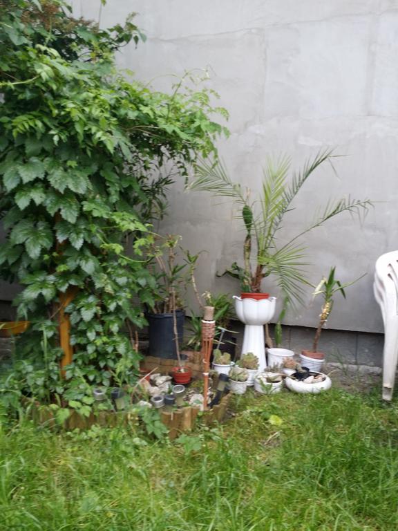 Apartament Boris Apartman Gyula Zewnętrze zdjęcie