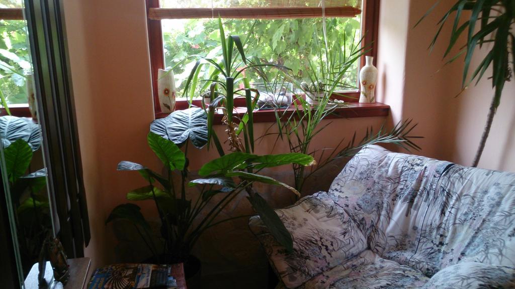 Apartament Boris Apartman Gyula Zewnętrze zdjęcie